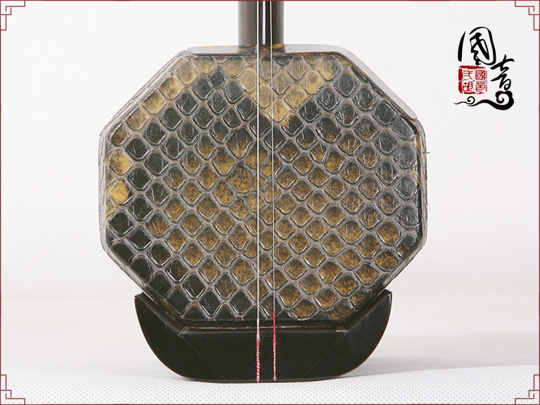 黑檀扁八角HE01003（甜美亮丽型）（适合潮湿地区）-已售