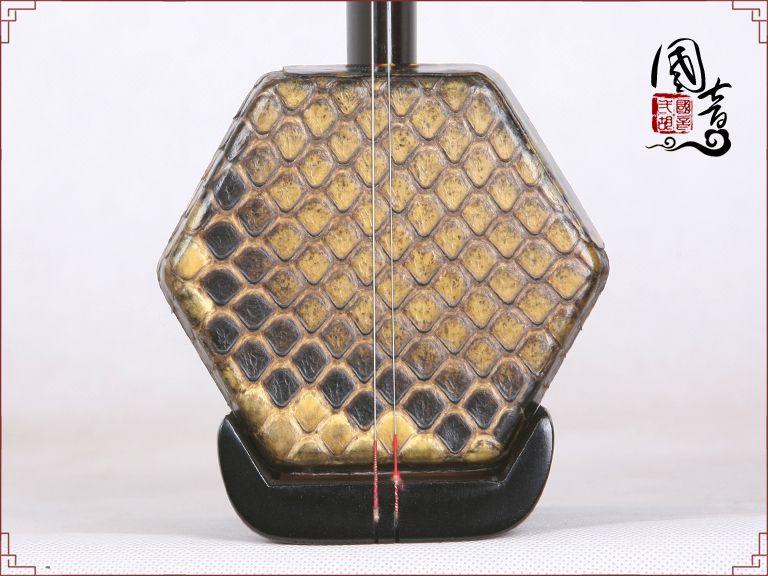 黑檀HE19025(甜美亮丽型)(适合潮湿地区)-已售