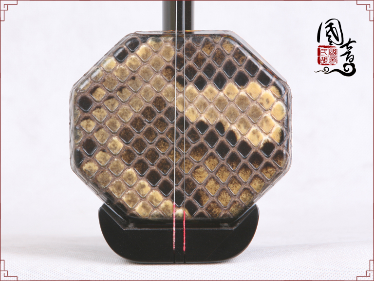 黑檀扁八角H210906(适合潮湿地区)(亮丽型) 黑檀扁八角H210906(适合潮湿地区)(亮丽型)