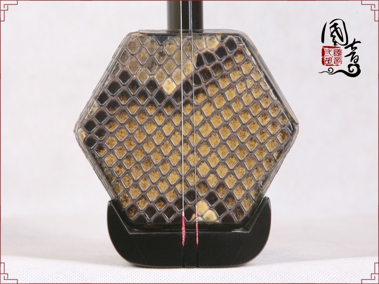 黑檀HE206092(甜美亮丽型)(适合潮湿地区)-已售