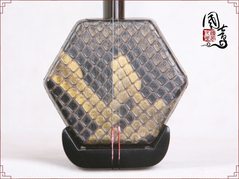 黑檀HE19024（甜美亮丽型）(适合潮湿地区)-已售