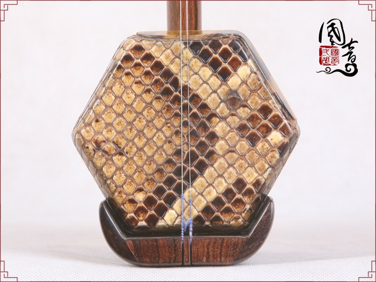 老琴22626（适合干燥地区）-已售