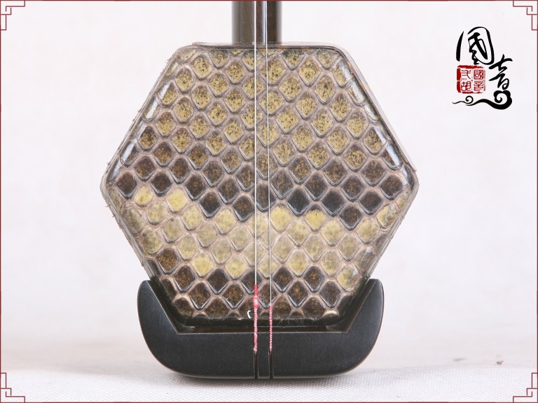 黑檀H023211（甜美亮丽型）(适合潮湿地区)-已售