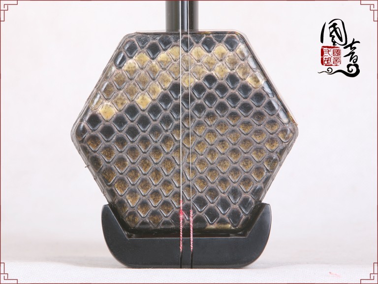 黑檀H023256（甜美亮丽型）(适合潮湿地区)-已售